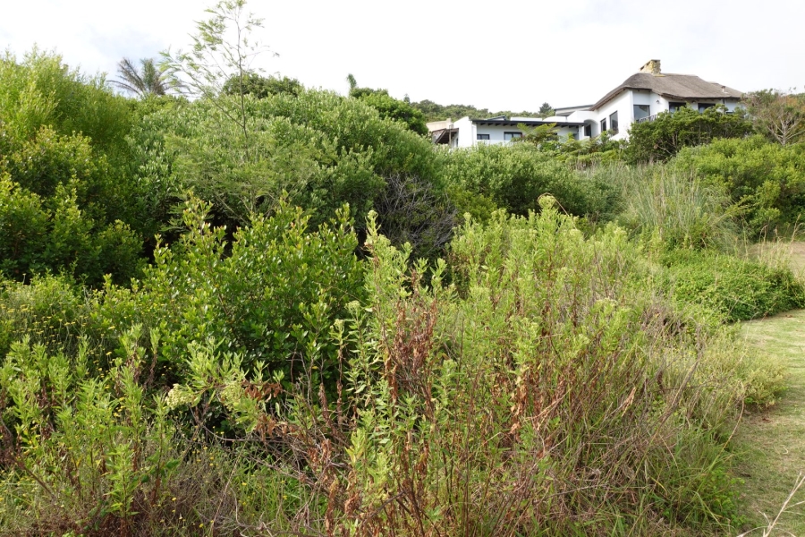 0 Bedroom Property for Sale in Outeniqua Strand Western Cape
